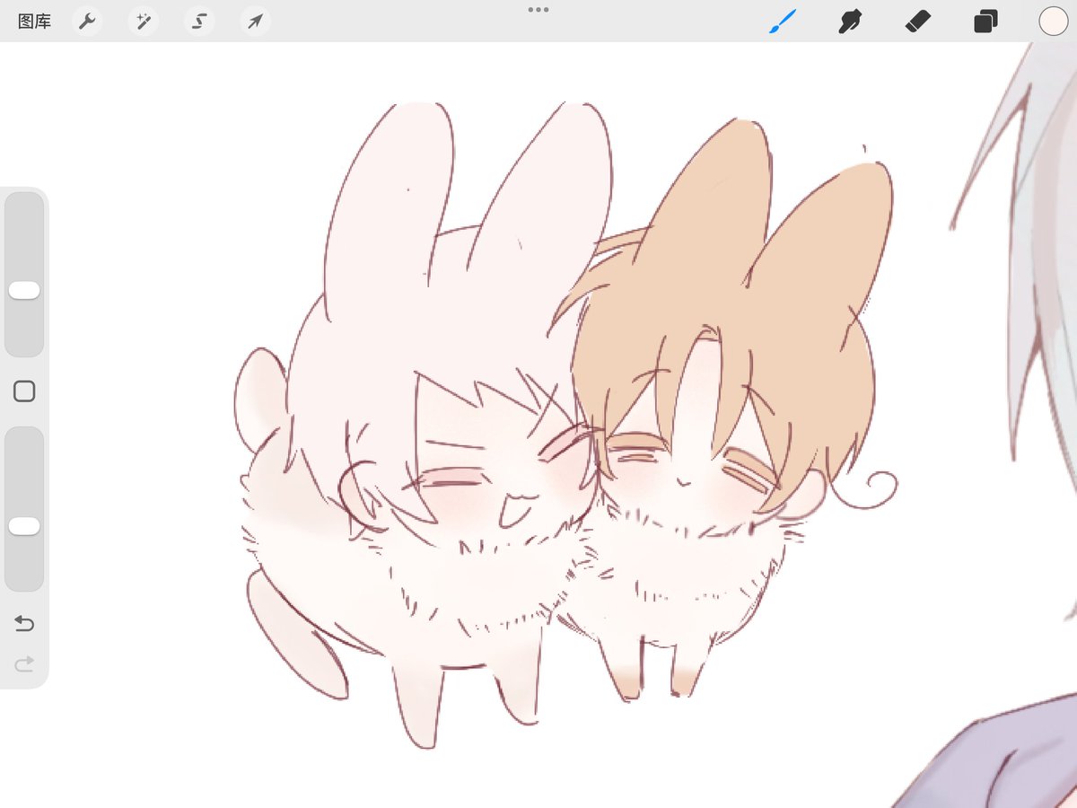 Spinne mit rotem Rücken tweet media