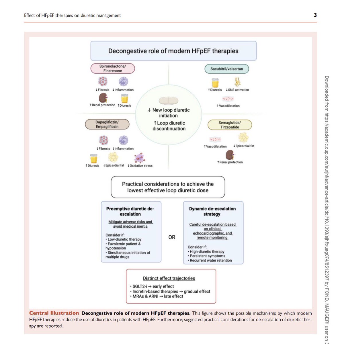 EJHF Editor-in-Chief tweet media