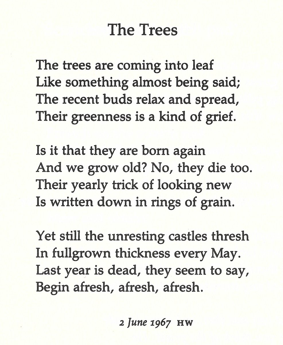 phillip crymble tweet media