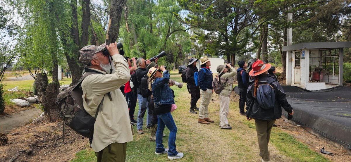 El día de ayer, el #ClubDeAvistamiento del Museo de Ciencias Naturales💚 visitó el Bordo “Las Maravillas” de la Facultad de Medicina Veterinaria y Zootecnia de la #UAEMéx, un entorno natural que resguarda a más de 70 especies de aves, tanto regionales como migratorias. 🦤🪺