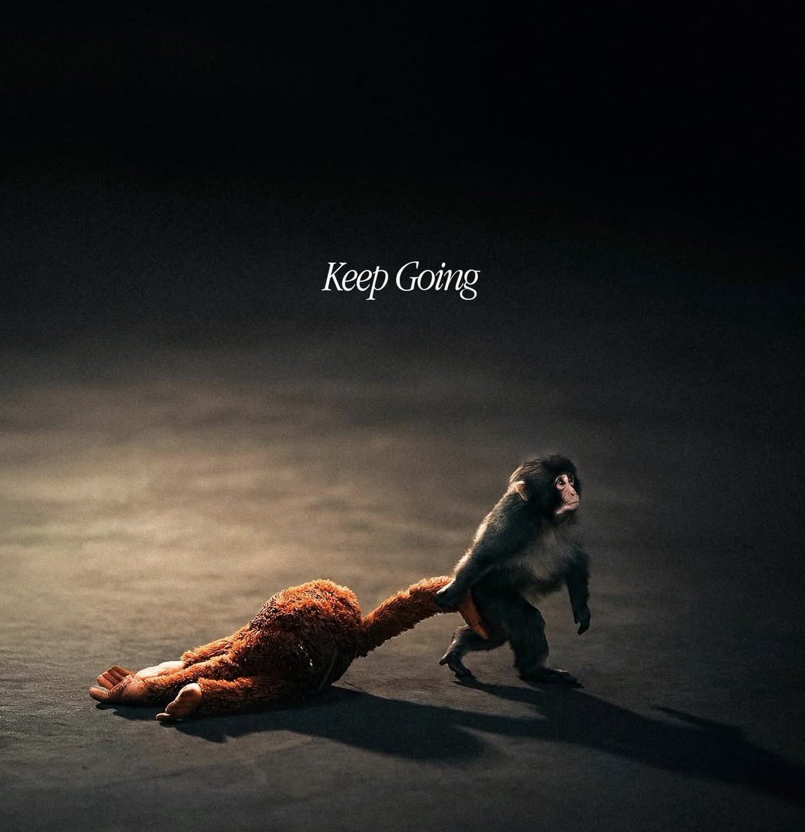 FreeXCrypt (punch/acc) tweet media