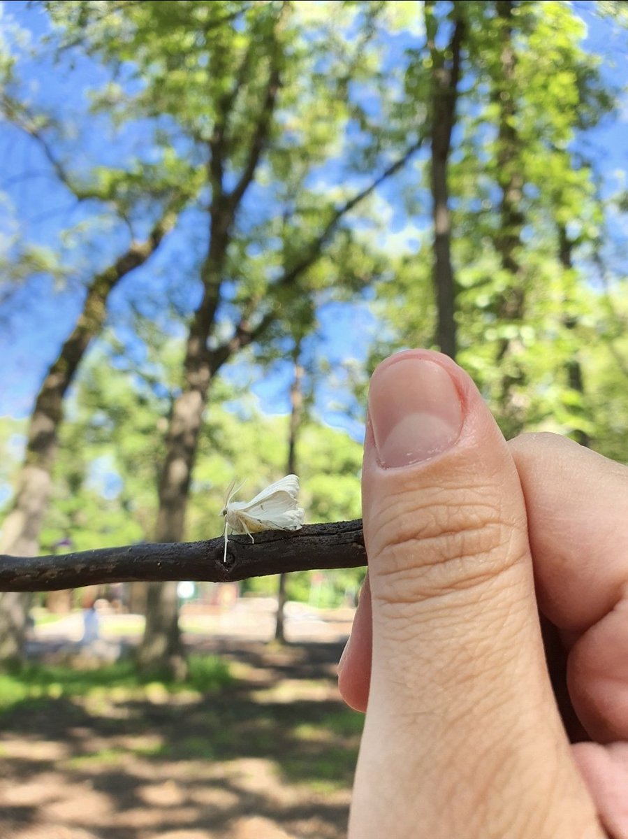 Aamer Kurdi tweet media