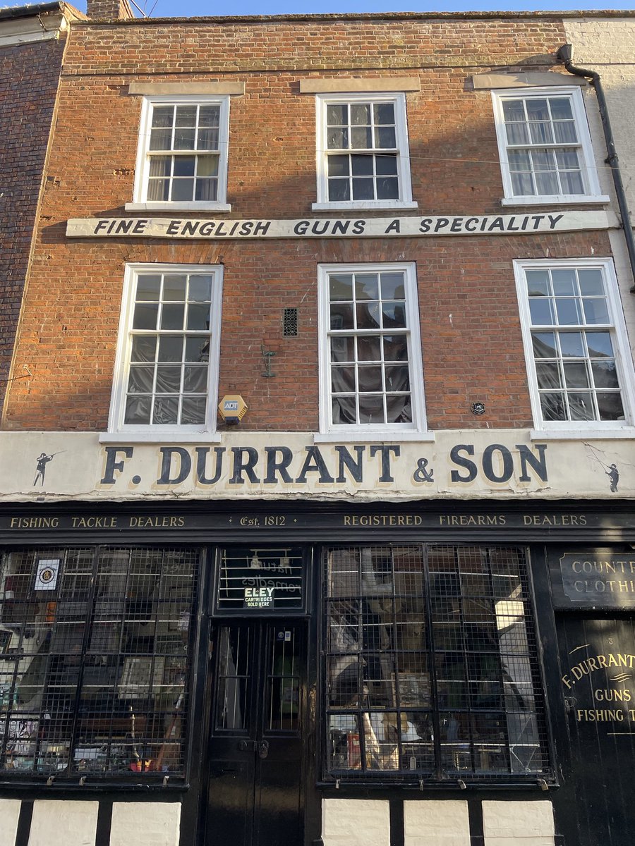 Grizzlegutweed the Bear tweet media