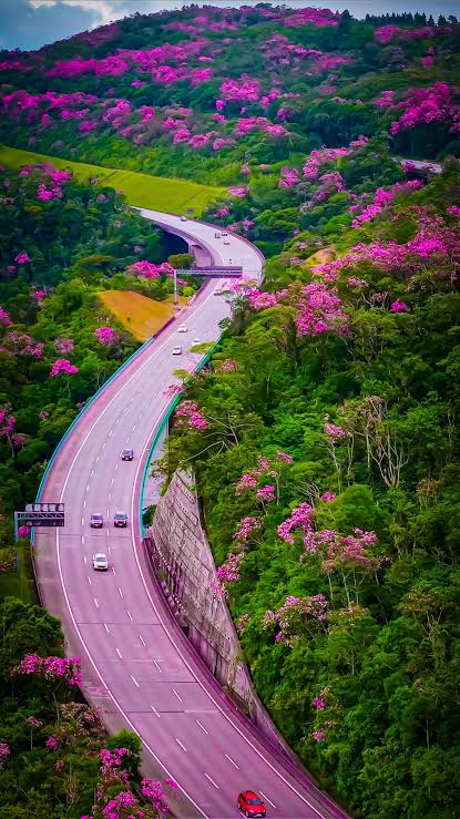 Caio Felipe⚔️ 🇾🇪🏛️🗿🗽 tweet media