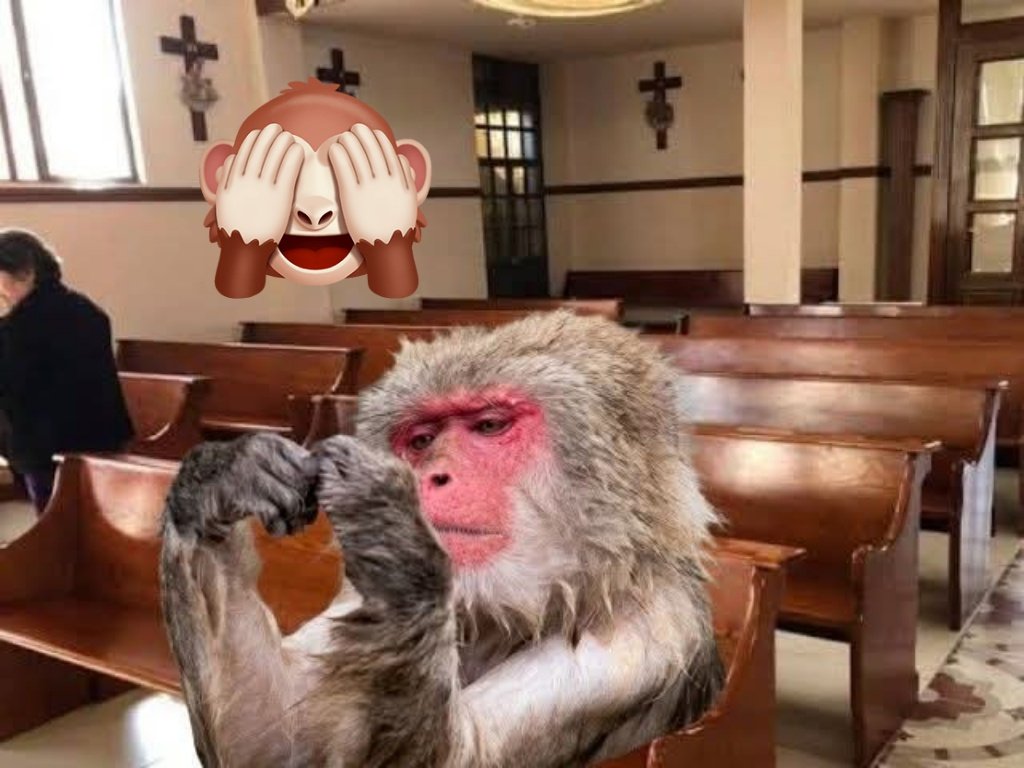  ZaFaDo Rivas tweet media