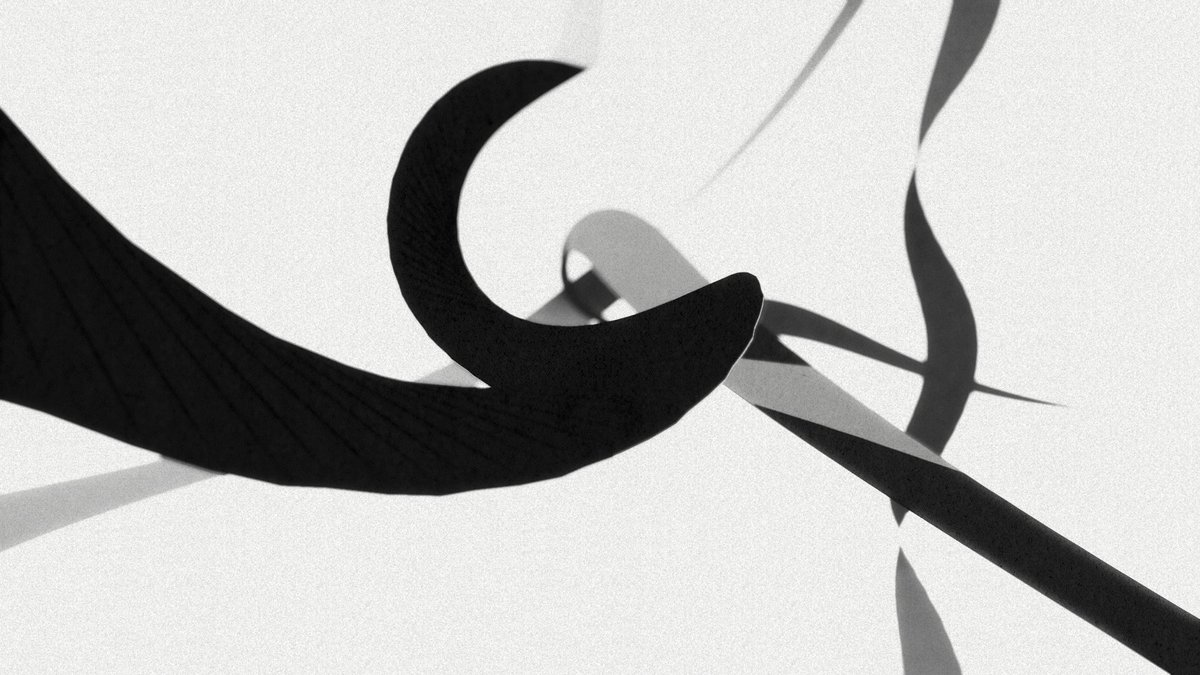 Adamir Sefwick tweet media