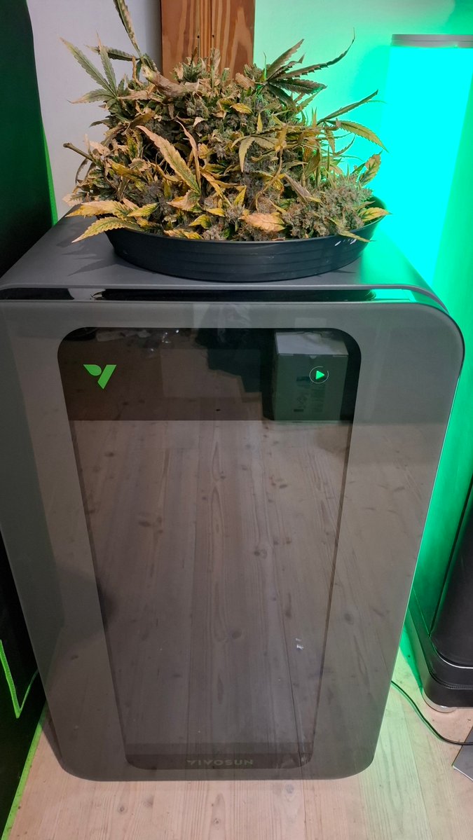 Gmiadlich Ganja Grown - G³ tweet media