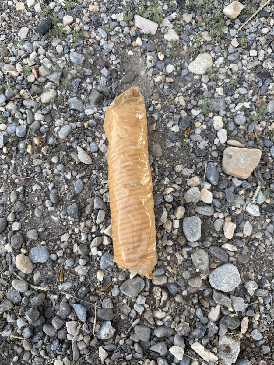 Braxton McCoy tweet media