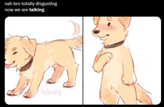 HBat PhD. tweet media