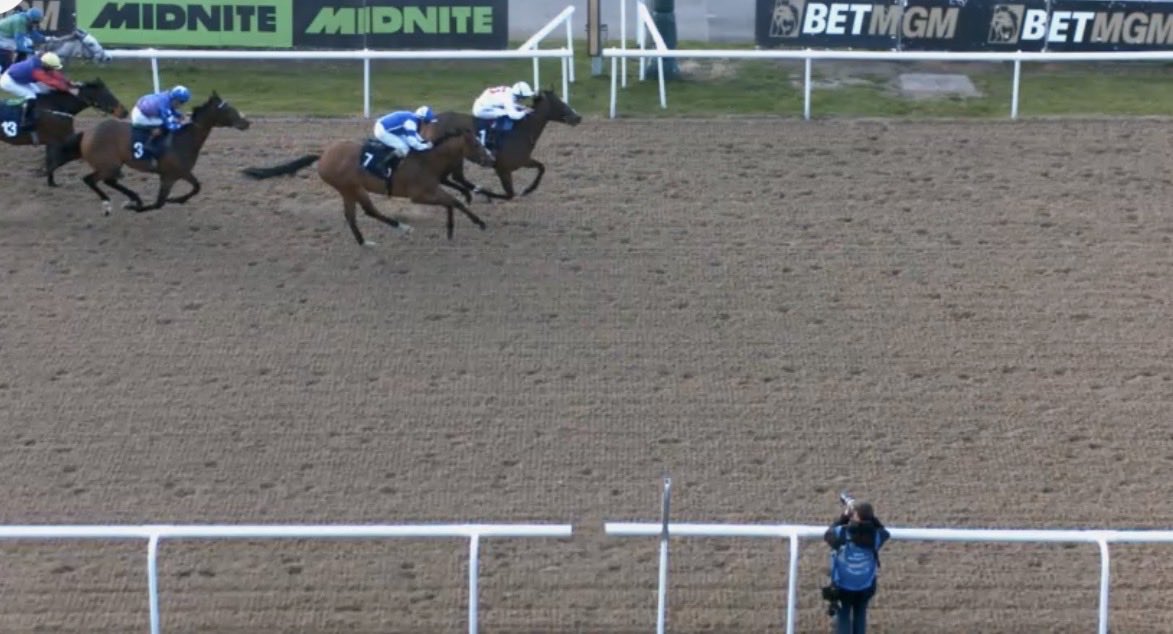 the racing newsletter tweet media