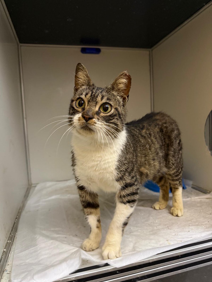 YUVA ARIYORUZ tweet media