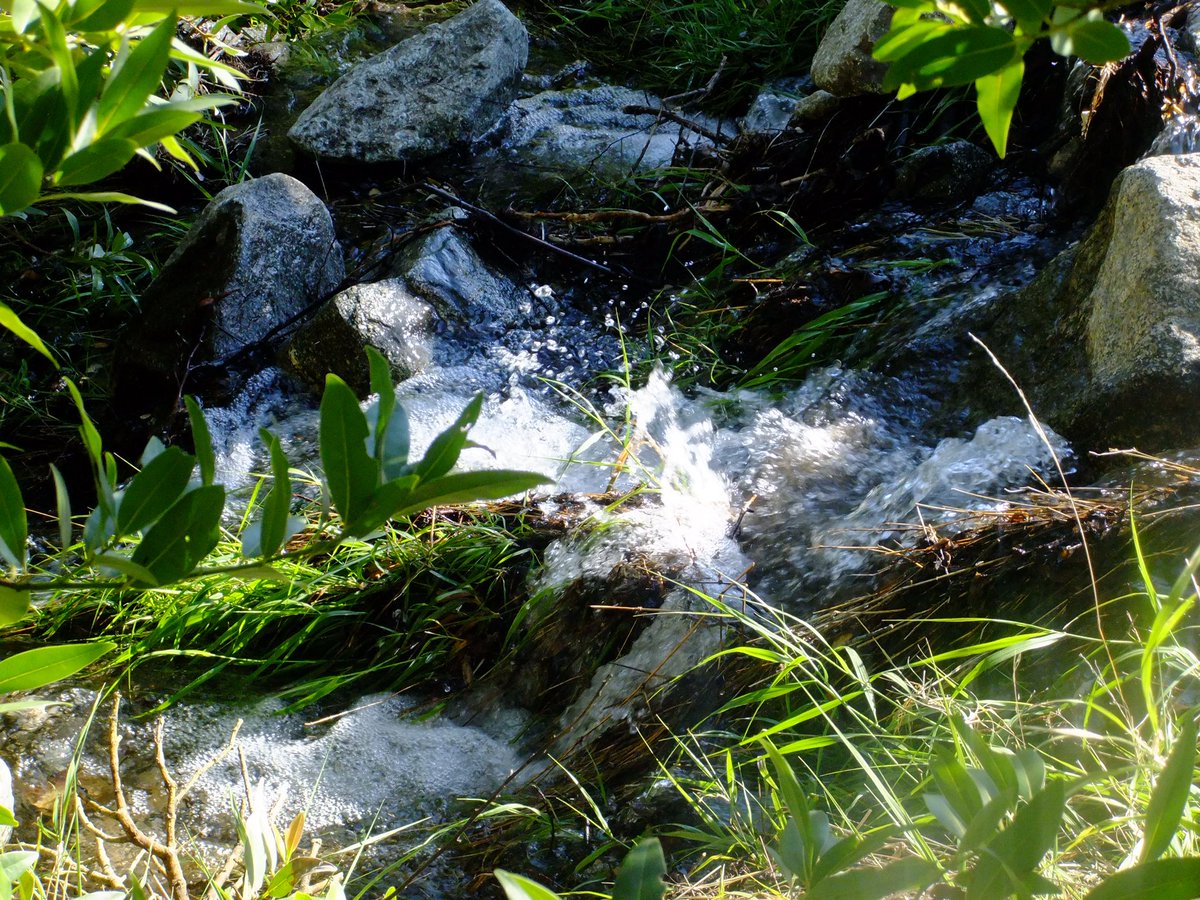 violet🐾 tweet media