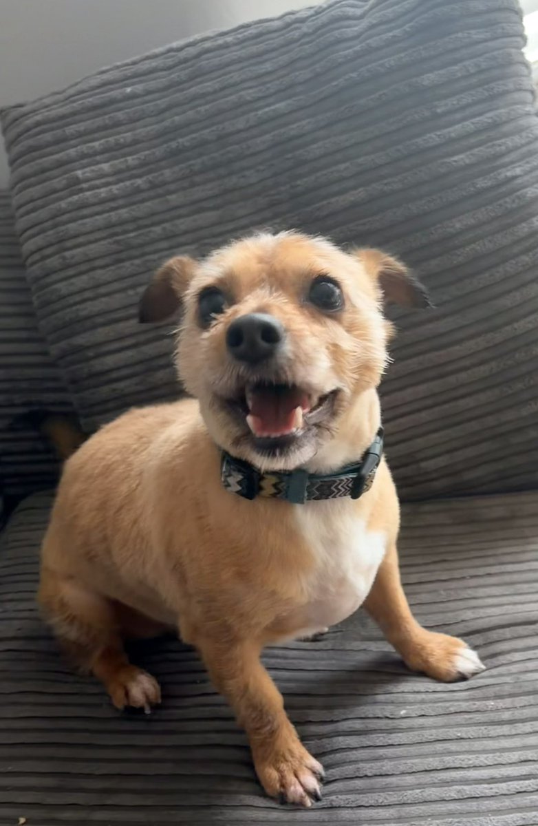 Michael Bennett tweet media