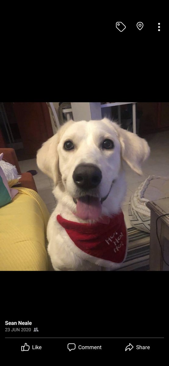 Sean R Neale tweet media