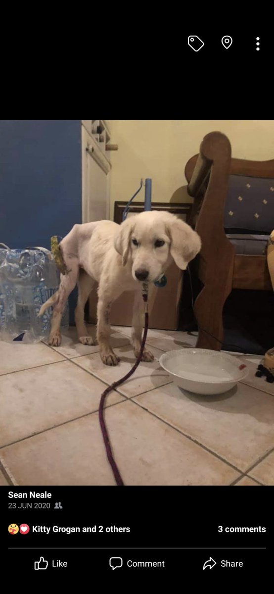 Sean R Neale tweet media