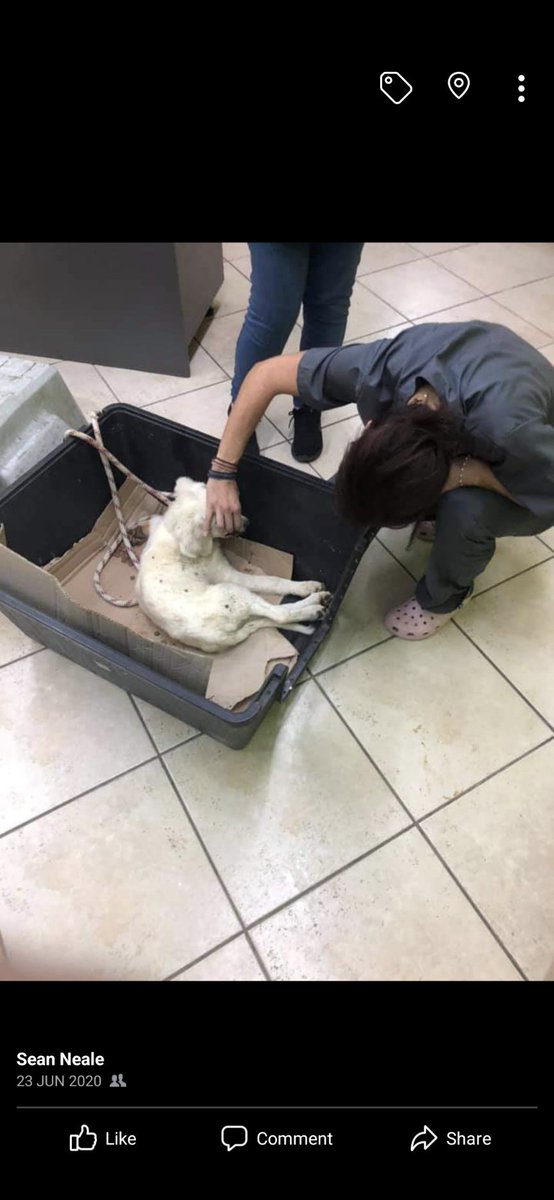 Sean R Neale tweet media