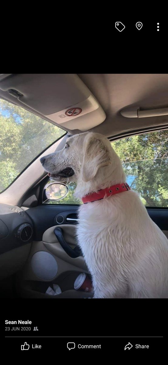 Sean R Neale tweet media