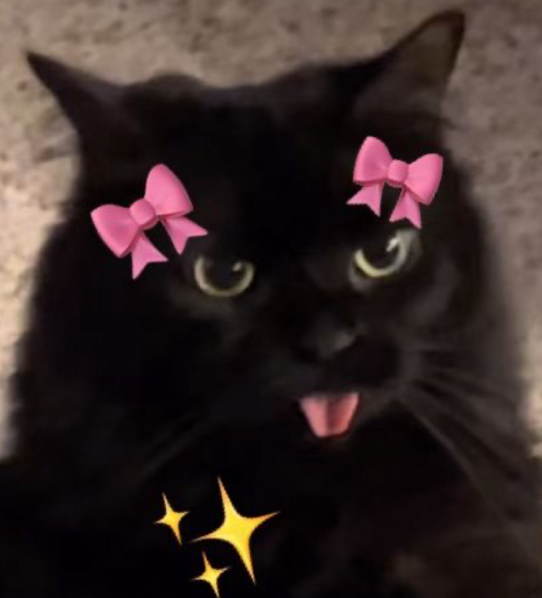 ✨ALY✨ tweet media