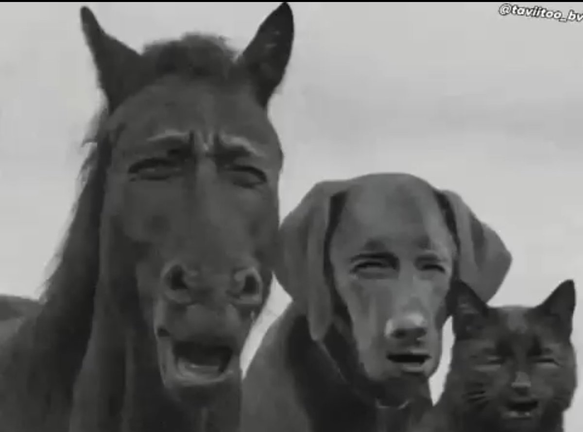 Busy Box tweet media