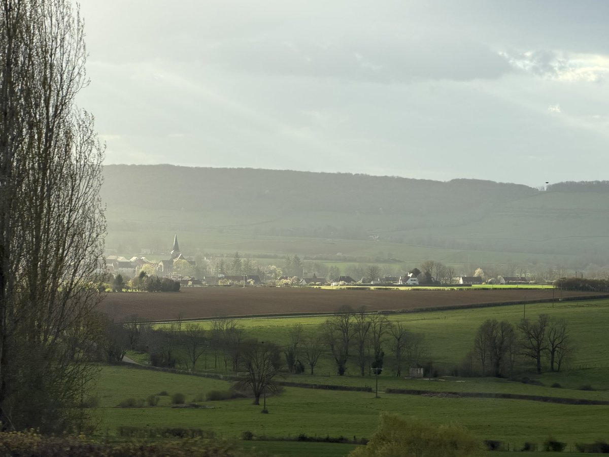 François Sauvadet tweet media