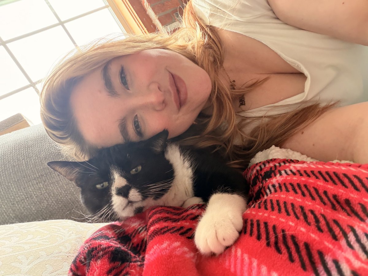 gator 🐊 tweet media