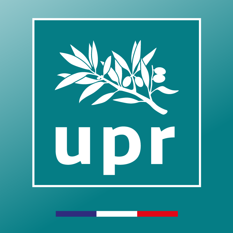 UPR Cyber tweet media