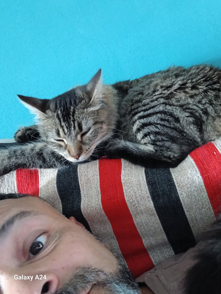 Máximo! tweet media