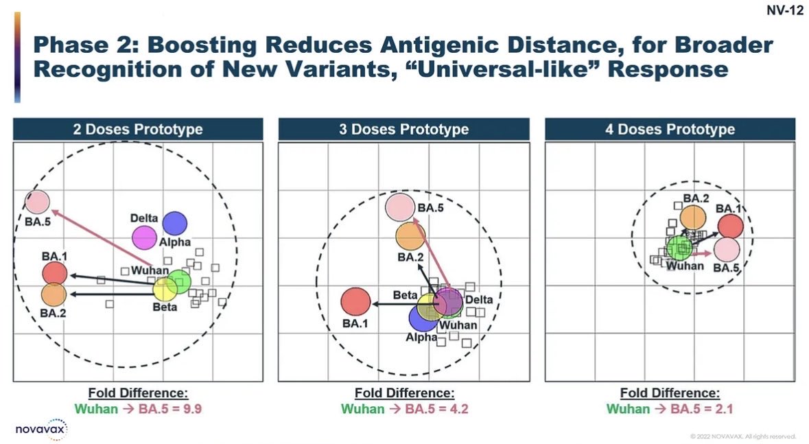 Biff #SARSisAirborne 🍉 tweet media