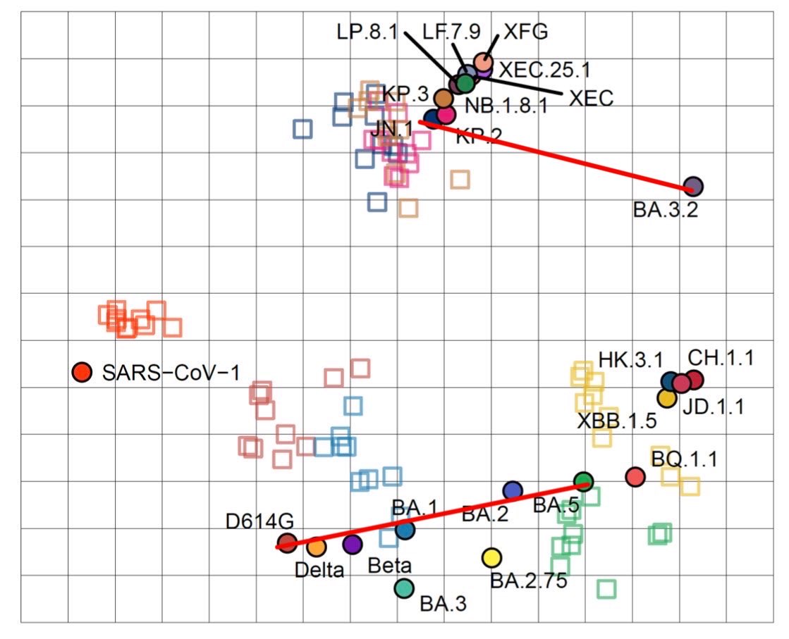 Biff #SARSisAirborne 🍉 tweet media