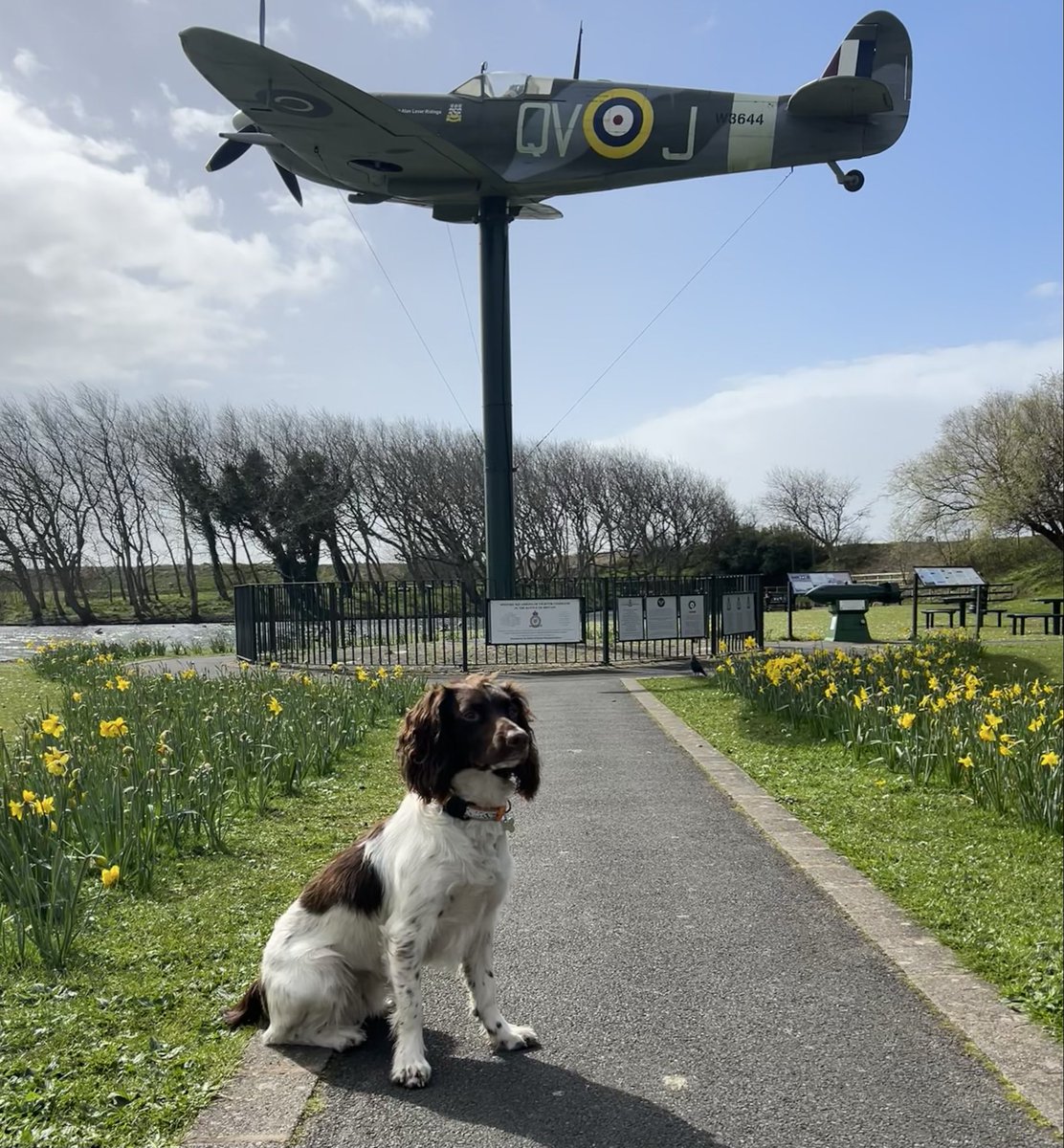 Peter Braidwood 💙🤍BRFC tweet media