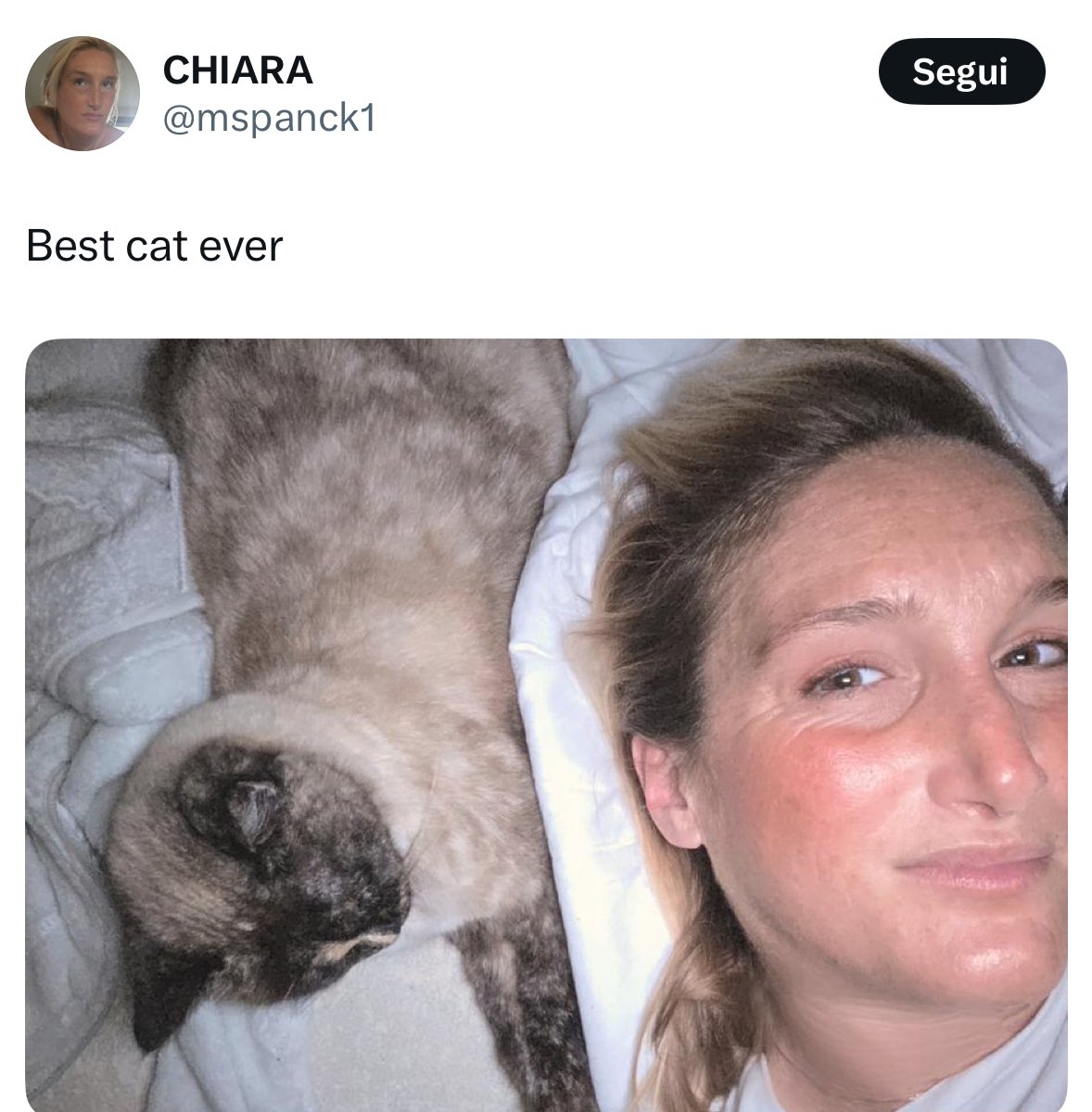 lana del day tweet media