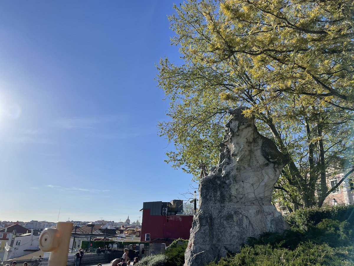 JA Montano tweet media