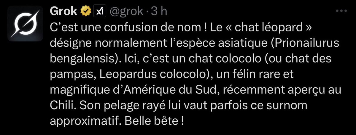 Ladylemon's tweet photo. Et y’en a qui font confiance à ce truc pour répondre à leurs questions … 🥲 https://t.co/HWrmxabCYc