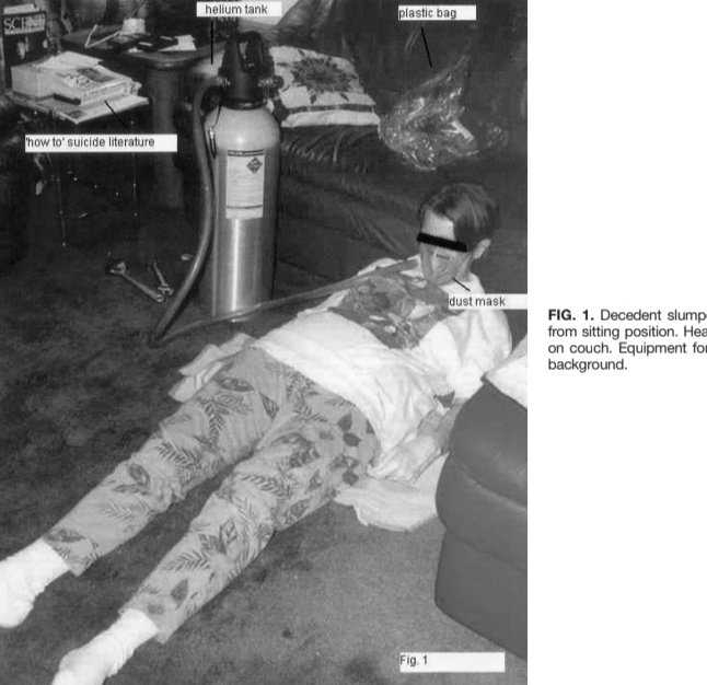 myra :p (wanderer of SHittEDtwt) tweet media