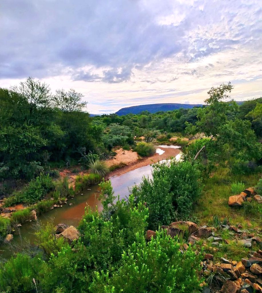 Kgoshi Ya Lebowa tweet media