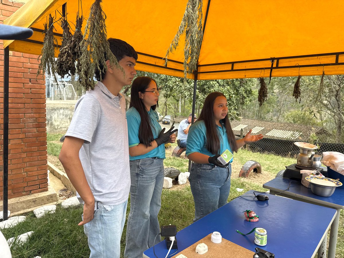 Secretaría de Ciencia, Tecnología e Innovación tweet media