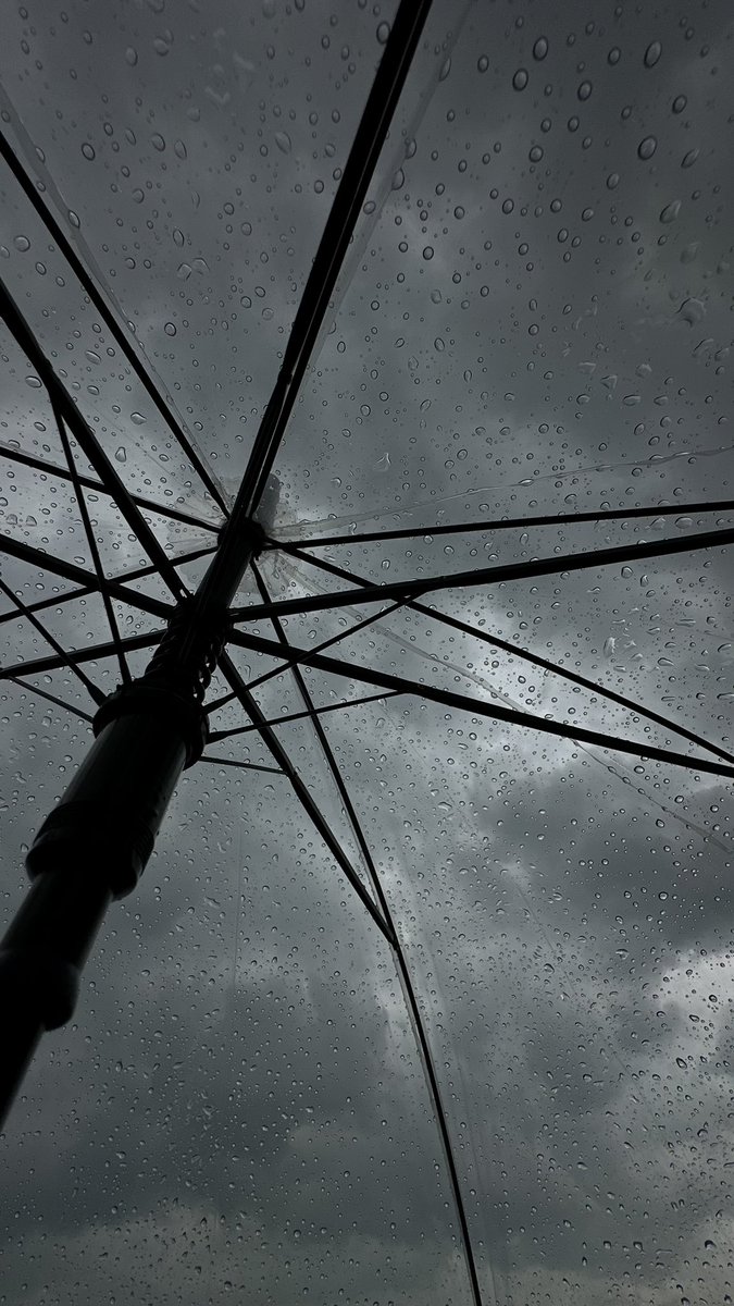 عذوب tweet media