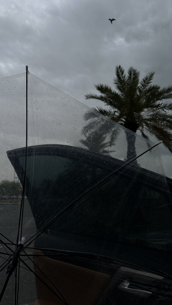 عذوب tweet media