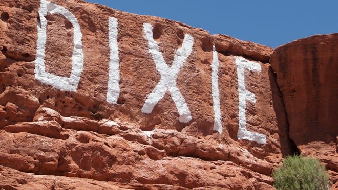 Southern Chestnut 🐣🐰 tweet media