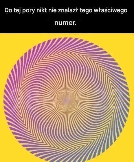 Grażyna Miziuła Gracja tweet media