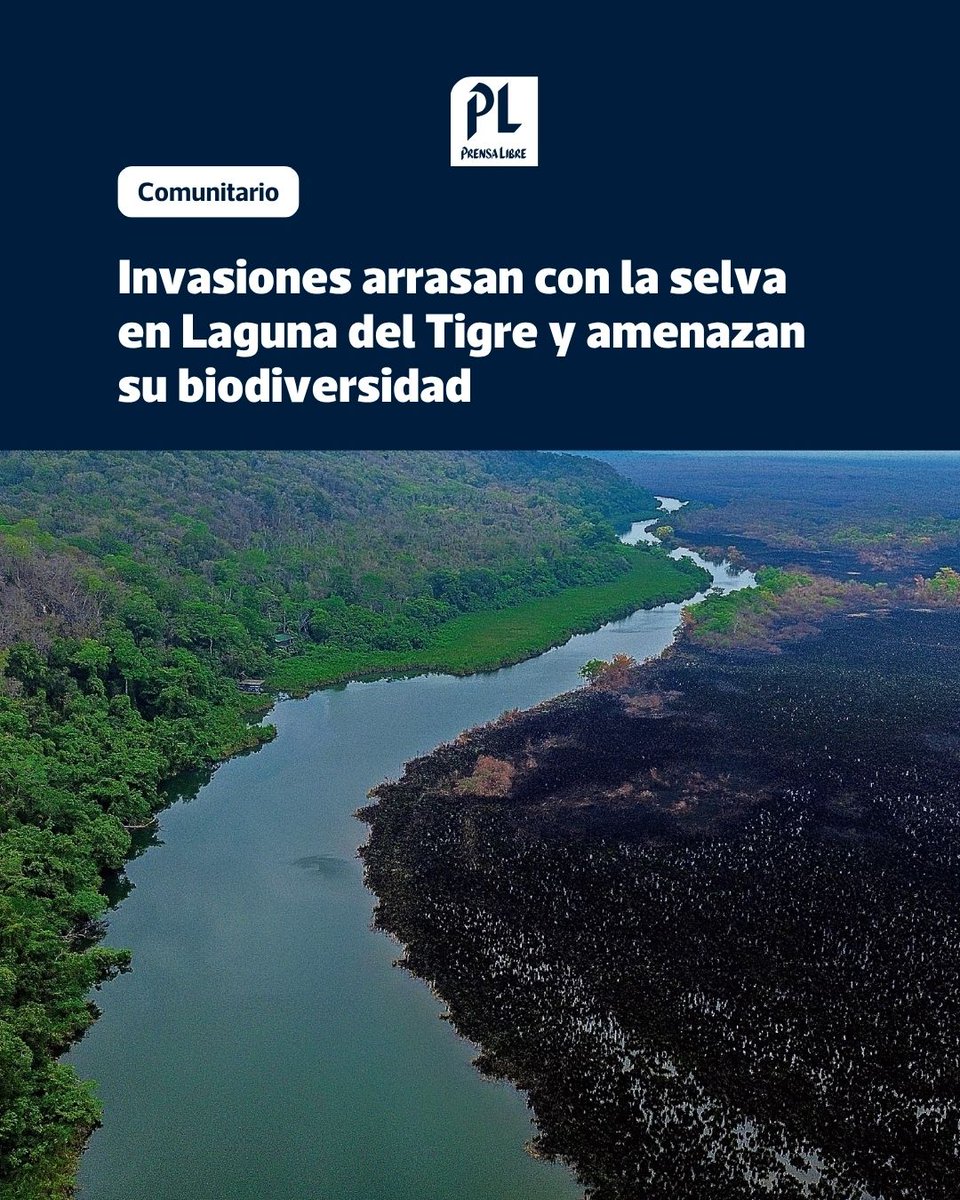 Ana Lucía Ola tweet media