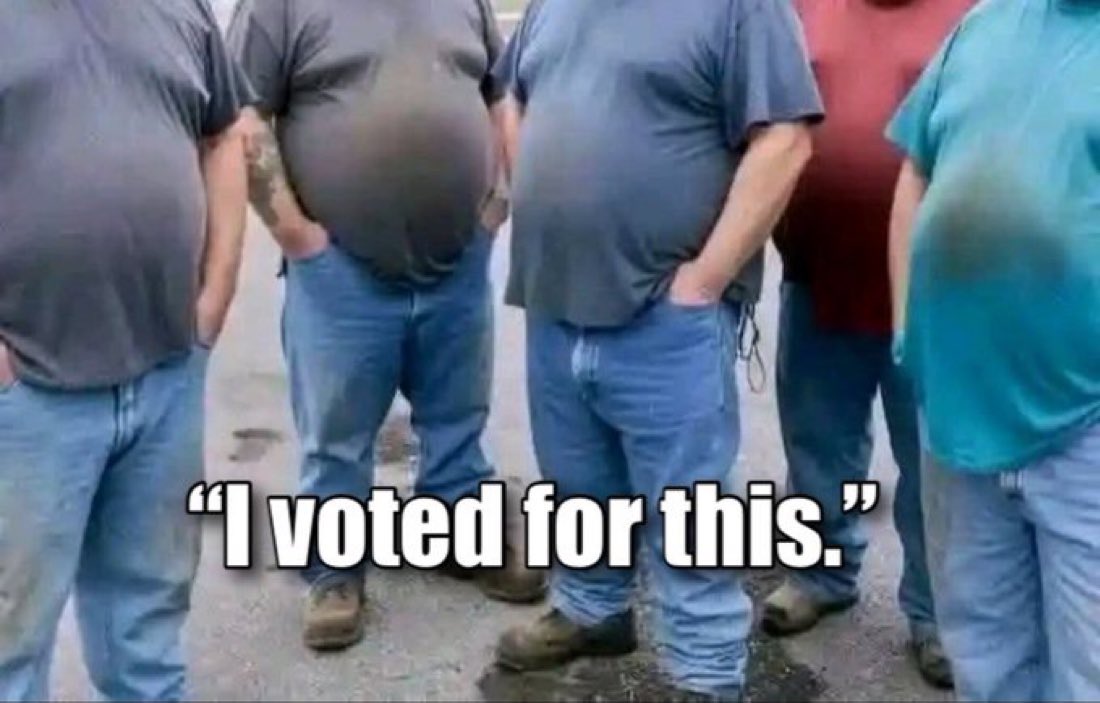 Libertarian Party tweet media