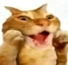 Jonathan jugger tweet media