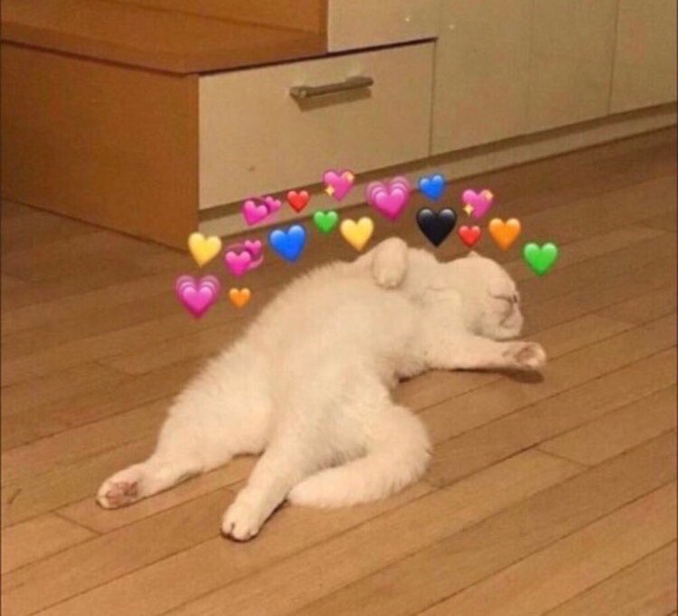 マラミ tweet media