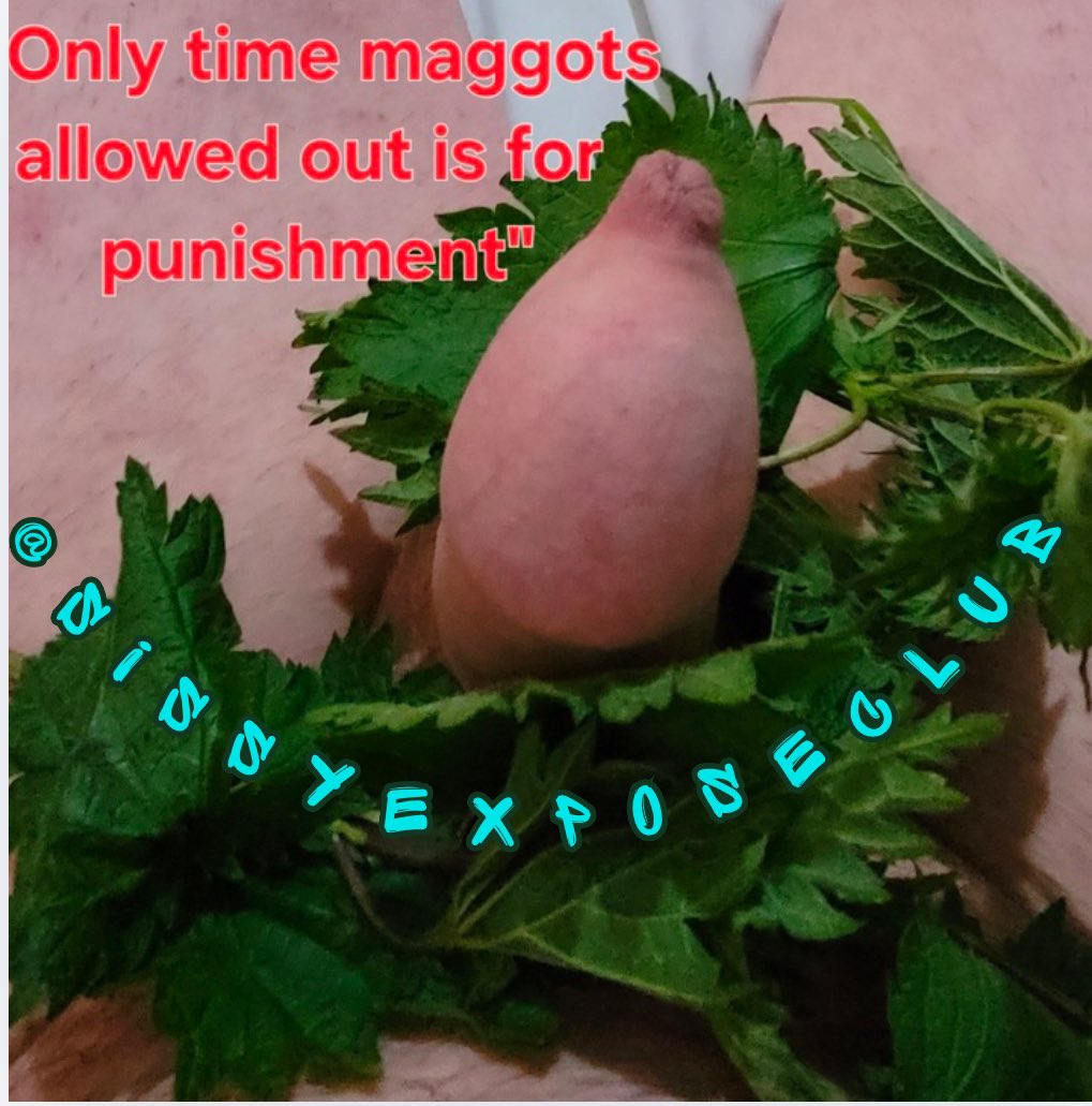 SISSY-EXPOSURE tweet media