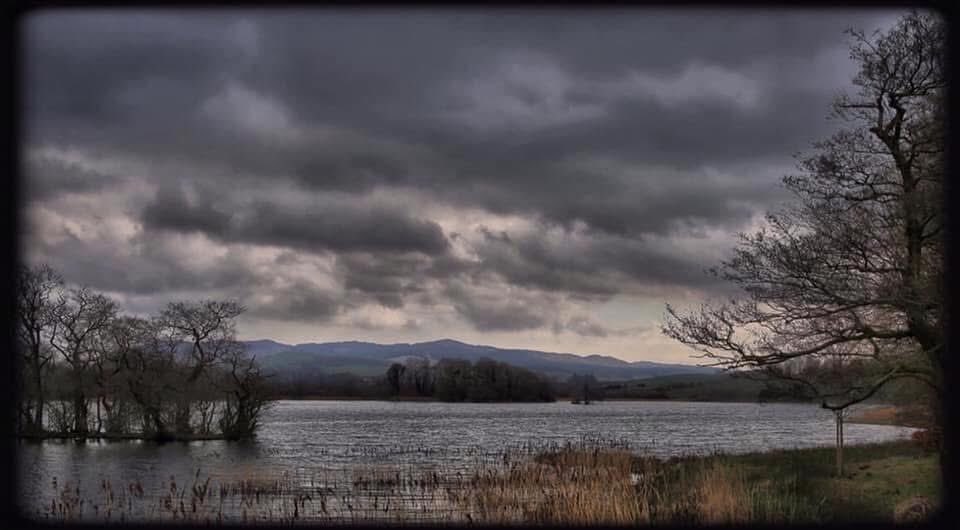 𝕮𝖍𝖗𝖎𝖘𝖙𝖎𝖓𝖆 𝖛. 𝖂𝖊𝖑𝖑𝖊𝖆𝖓 tweet media