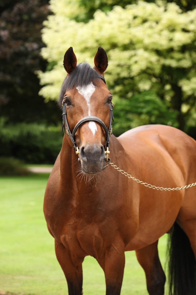 Kevin Buckley tweet media