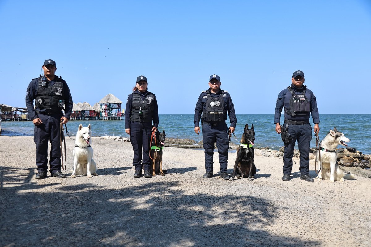 Susana Solís Informa Chiapas tweet media