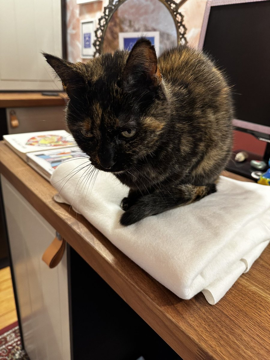 Chablis et Chartreuse🎀 tweet media