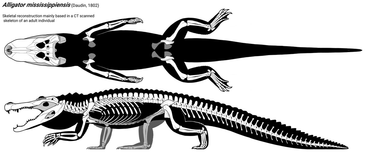 Literally Miguel 🇻🇪💥🔫 tweet media